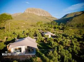 Wagyu Mountain Lodge
