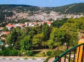 Rihana Hotel - Ain Draham