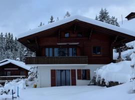 Chalet Schneelöwe, hotel in Arni Alp