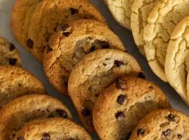 Garner Hotel Salt Lake City Airport by IHG