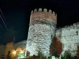 Sighnaghi Hotel Fence Door&Сигнахи Отель Ворота Крепости&სიღნაღი სასტუმრო გალავნის კარი