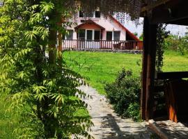 Family Mountain Cottage, hotel in Cîrţişoara