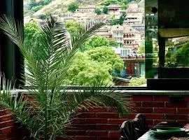Hotel New Terrace
