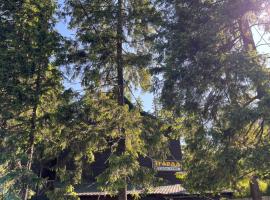 Готель Згарда, hotel in Dragobrat