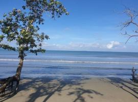 Cozy Bure, hotel u gradu Pacific Harbour