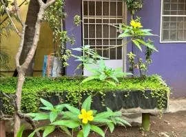 Jayanti Hotel and Stay
