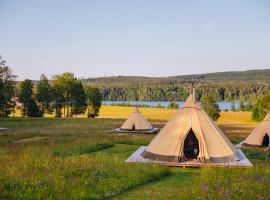 Förland Sunnemo,位于Sunnemo的酒店