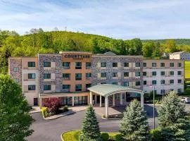 Courtyard by Marriott Oneonta