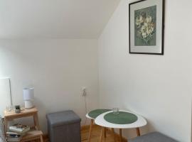 Ivaa, hotel in Nova Varoš