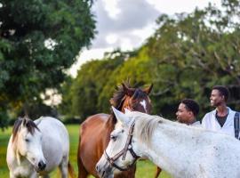 Galloping Adventures, hotel in Malindi