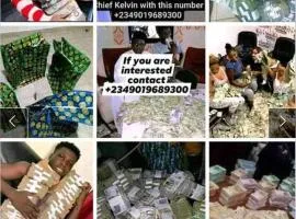 Island of riches money
