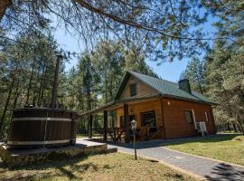 Namelis su pirtele, hôtel à Druskininkai