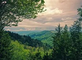 A Mountains Suffer Hotel Kasauli