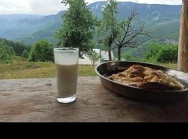 Camp Apartmani Tara, hotell sihtkohas Pljevlja