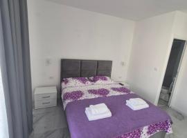 Apartmani Nevena Airport, hotel in Mitrovići