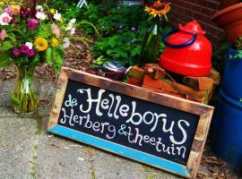 Eco-Camping De Helleborus, Yurt, Bell & Safari tent, Pipo, Caravans, Dorms and Units, ξενοδοχείο σε Χρόνινγκεν