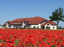 A picture of the hotel: Hotel Dwór Galicja