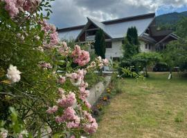 Pensiunea Stefan, ξενοδοχείο σε Durau