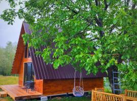Svanieri Cozy Cottage in the Mountains, hotel en Katskhi