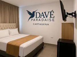 Davé Paradise 2