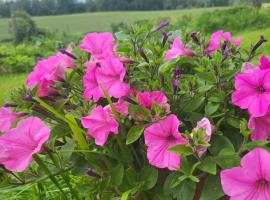 Marija, hotell sihtkohas Krāslava