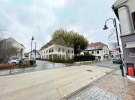 Hôtel du Cheval Blanc Brunstatt