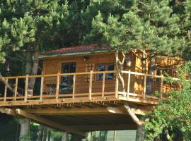 Hotel Photo: L'Etournelle - Cabane Perchée