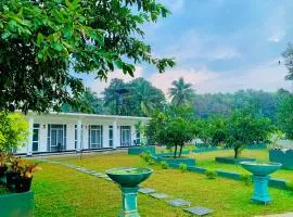 White Shine Hotel