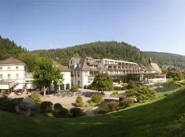 Hotel Therme Bad Teinach