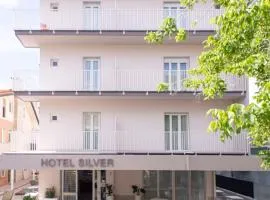 Hotel Silver