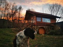 Studio Belvedere, hôtel à Mălăeşti