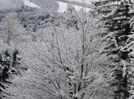 Mountain view chalet avec vue sur la montagne, hotel in Stoneham