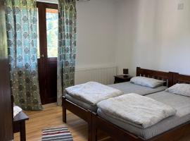 Pensiunea Popasul Călătorului、Tulgheşのホテル