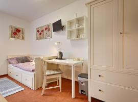 Penzion Šmolovy 238, Hotel in Havlíčkův Brod