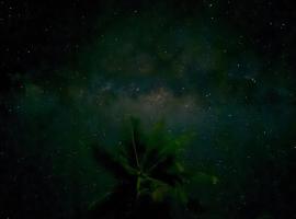 Maupiti Bambou Camping, hotel di Maupiti