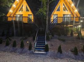 Visitor Place, hôtel à Plav