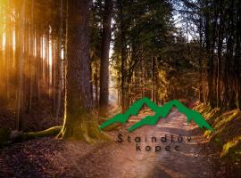 Štaindlův kopec, hotel v destinaci Rapšach