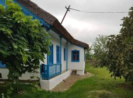 Căsuța de chirpici, hotell sihtkohas Dunavăţu de Sus