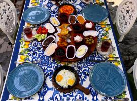 Qafqaz Fountain House، فندق في غابالا