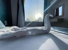 Stay & tours Egypt