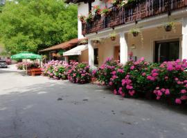 Domačija Bubec, hotell sihtkohas Ilirska Bistrica