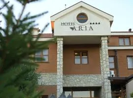 Hotel Aria