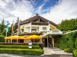 莫尔纳酒店