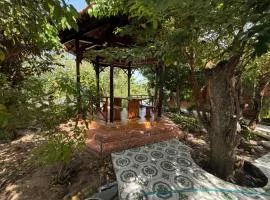Triệu Vy Homestay