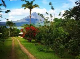 Essence Arenal Spa & Yoga