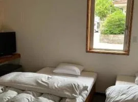 Business Hotel Tsuwano