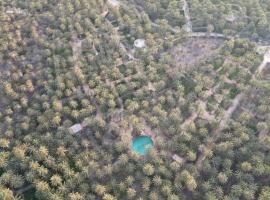 Coco Oasis Resort Camping Maison d hotes, ξενοδοχείο στο Τοζέρ