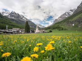 酒店照片: Case Gran Paradiso Rhemes Notre Dame