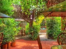 Hotel Boutique Casa de Los Santos Reyes Valledupar