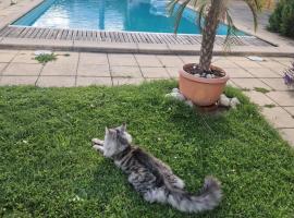 Alps and Lakeview Villa with Pool, hotel in Haut-Vully